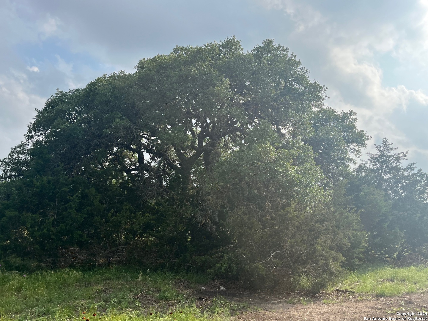 25 Vaquero Pipe Creek TX 78063