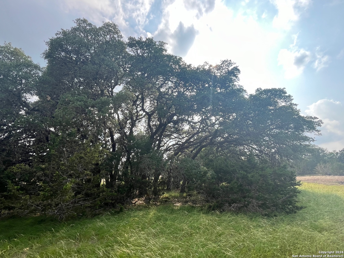25 Vaquero Pipe Creek TX 78063