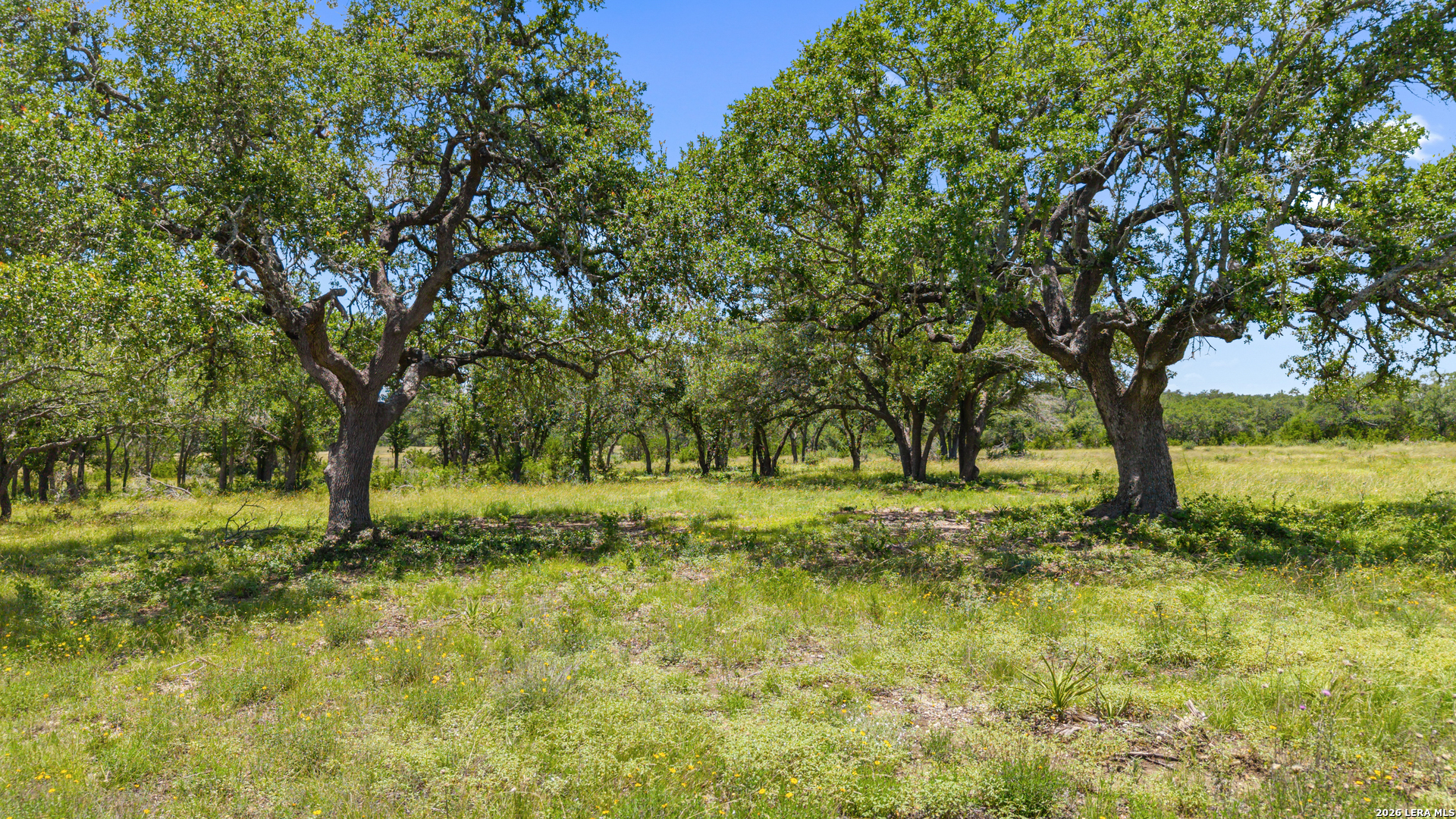 Tbd Tr2 Lindeman Lane Blanco TX 78606
