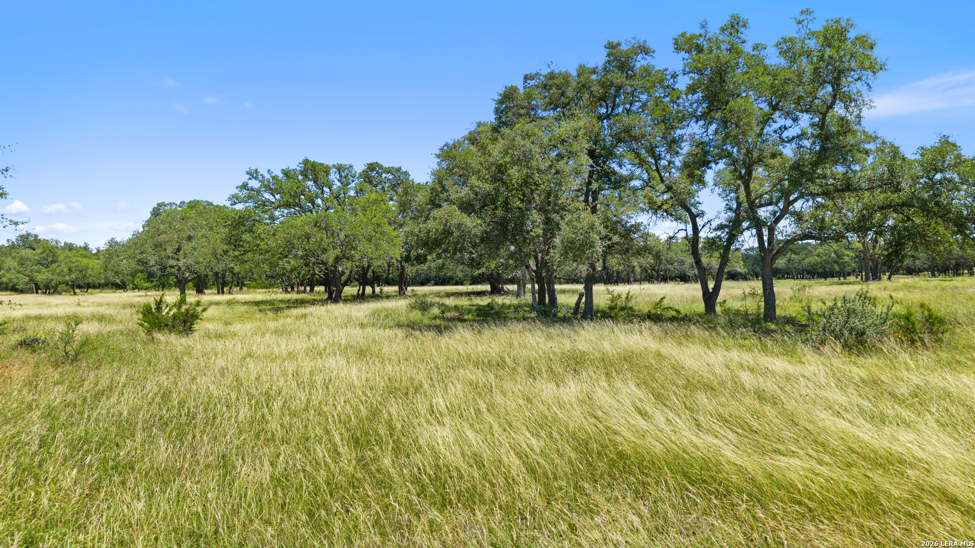 Tbd Tr2 Lindeman Lane Blanco TX 78606