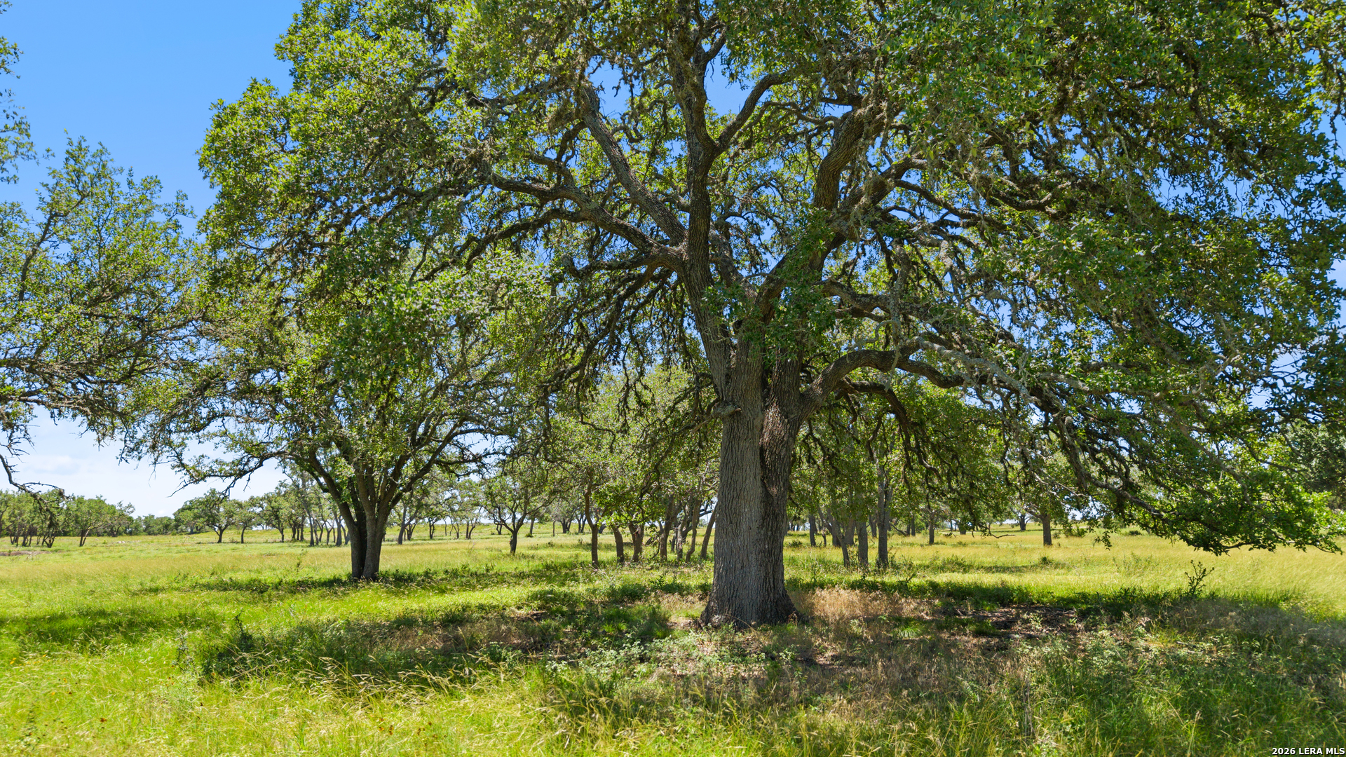 Tbd Tr2 Lindeman Lane Blanco TX 78606