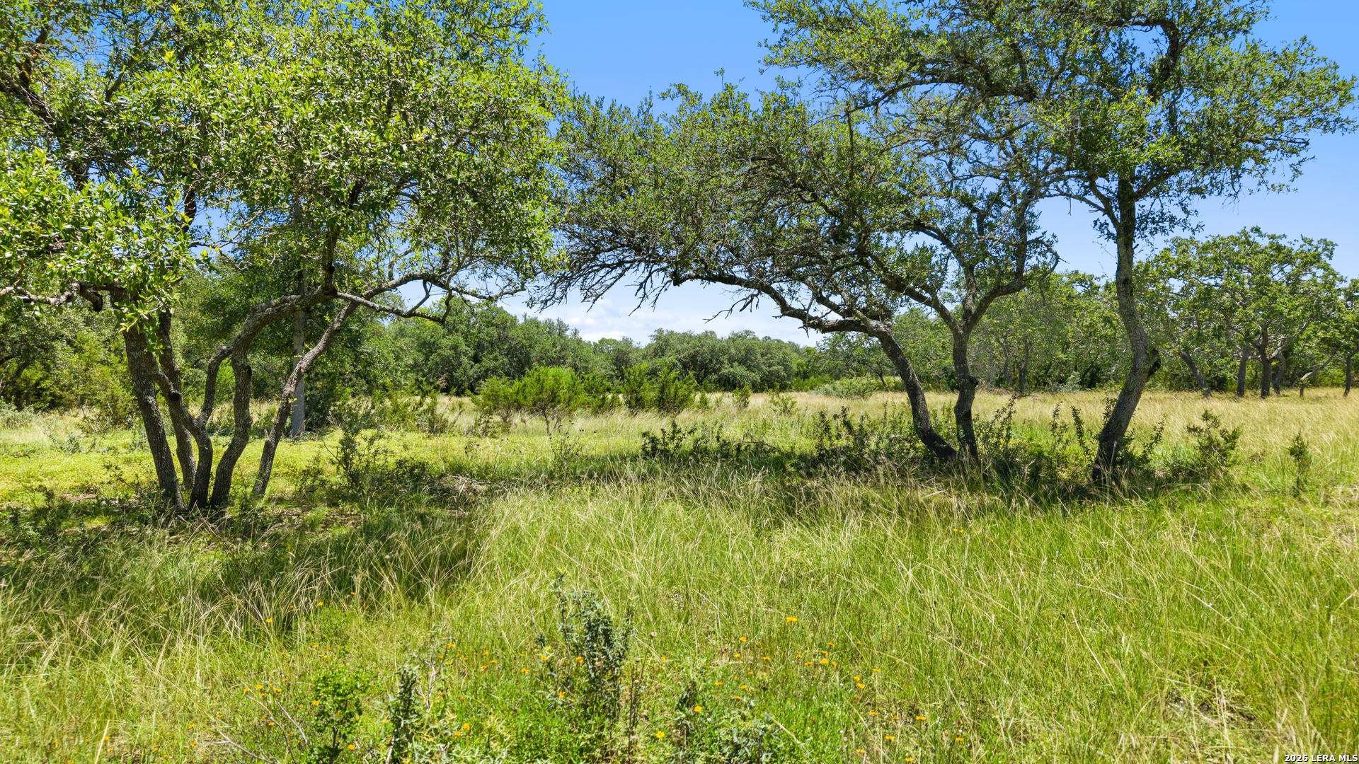Tbd Tr2 Lindeman Lane Blanco TX 78606