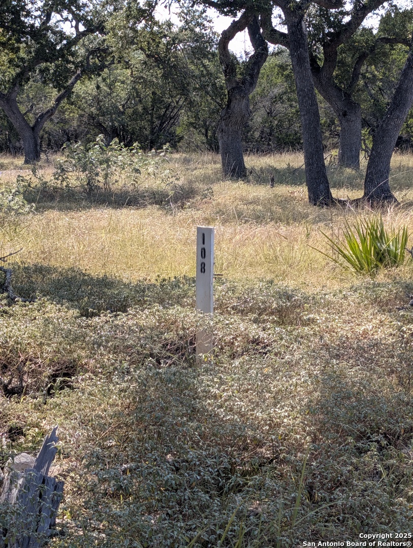 278 Restlesswind Spring Branch TX 78070