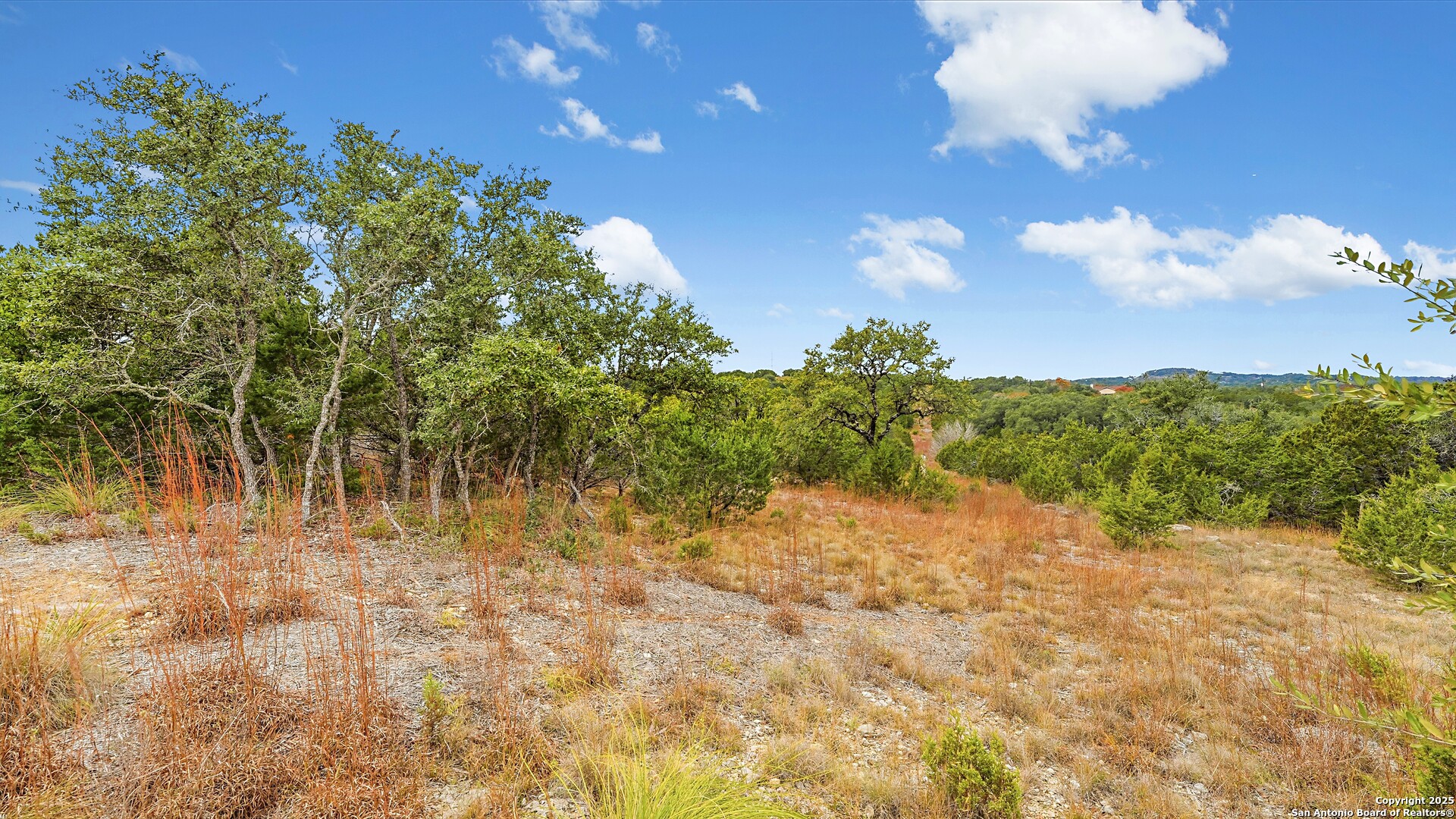 833 Bell Canyon Way Bulverde TX 78163