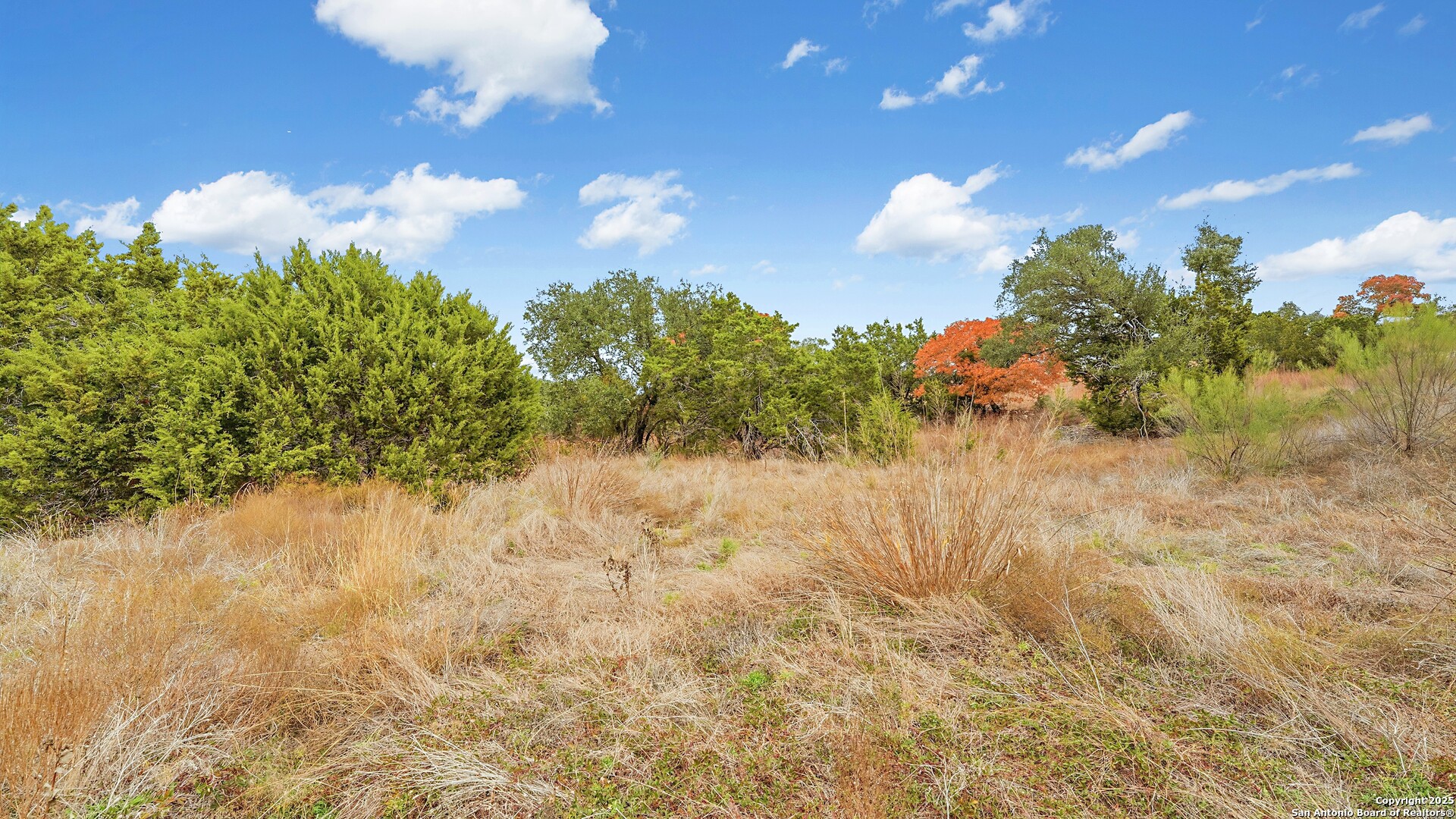 833 Bell Canyon Way Bulverde TX 78163