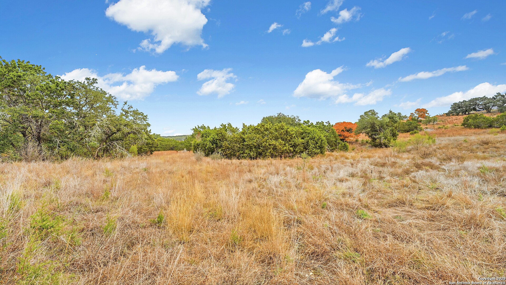 833 Bell Canyon Way Bulverde TX 78163