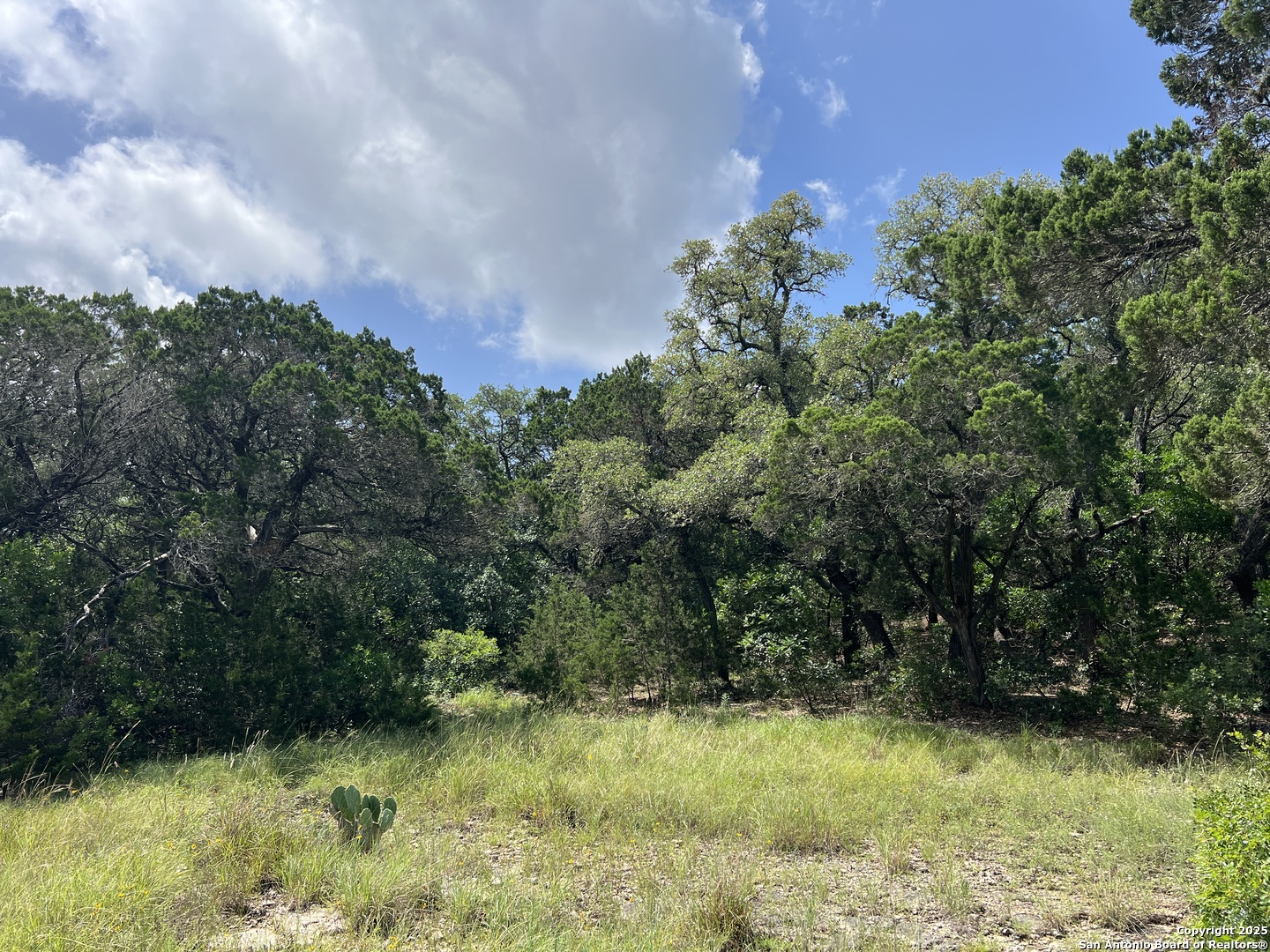 19031 Bandera Road Helotes TX 78023