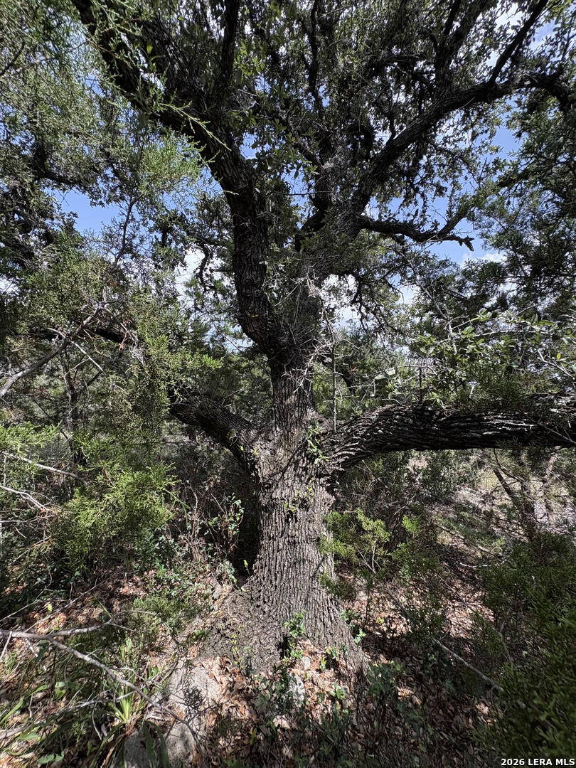 358 (LOT 1241) Toucan Drive Spring Branch TX 78070