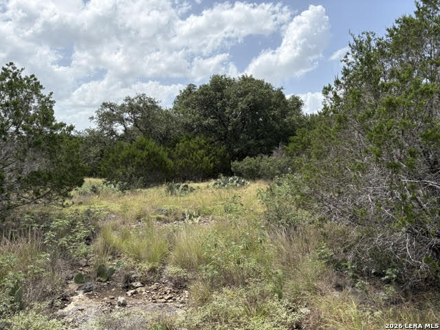 358 (LOT 1241) Toucan Drive Spring Branch TX 78070
