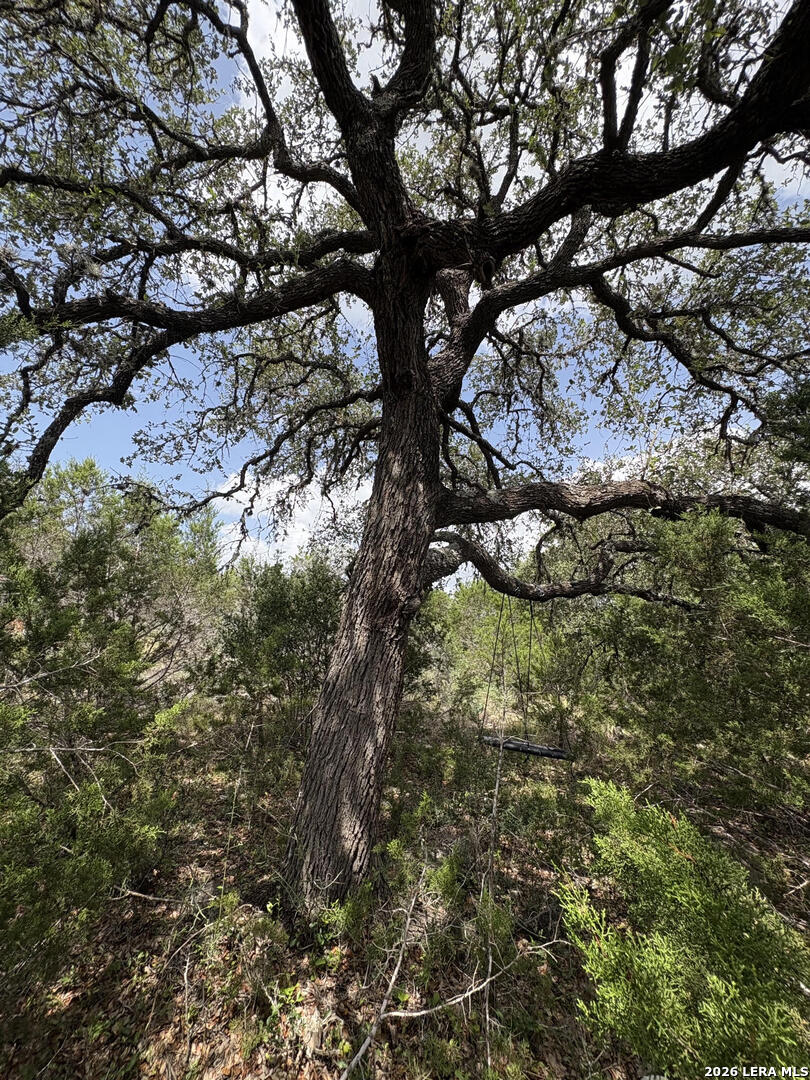 358 (LOT 1241) Toucan Drive Spring Branch TX 78070