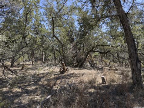 189 Campbell Canyon Lake TX 78133