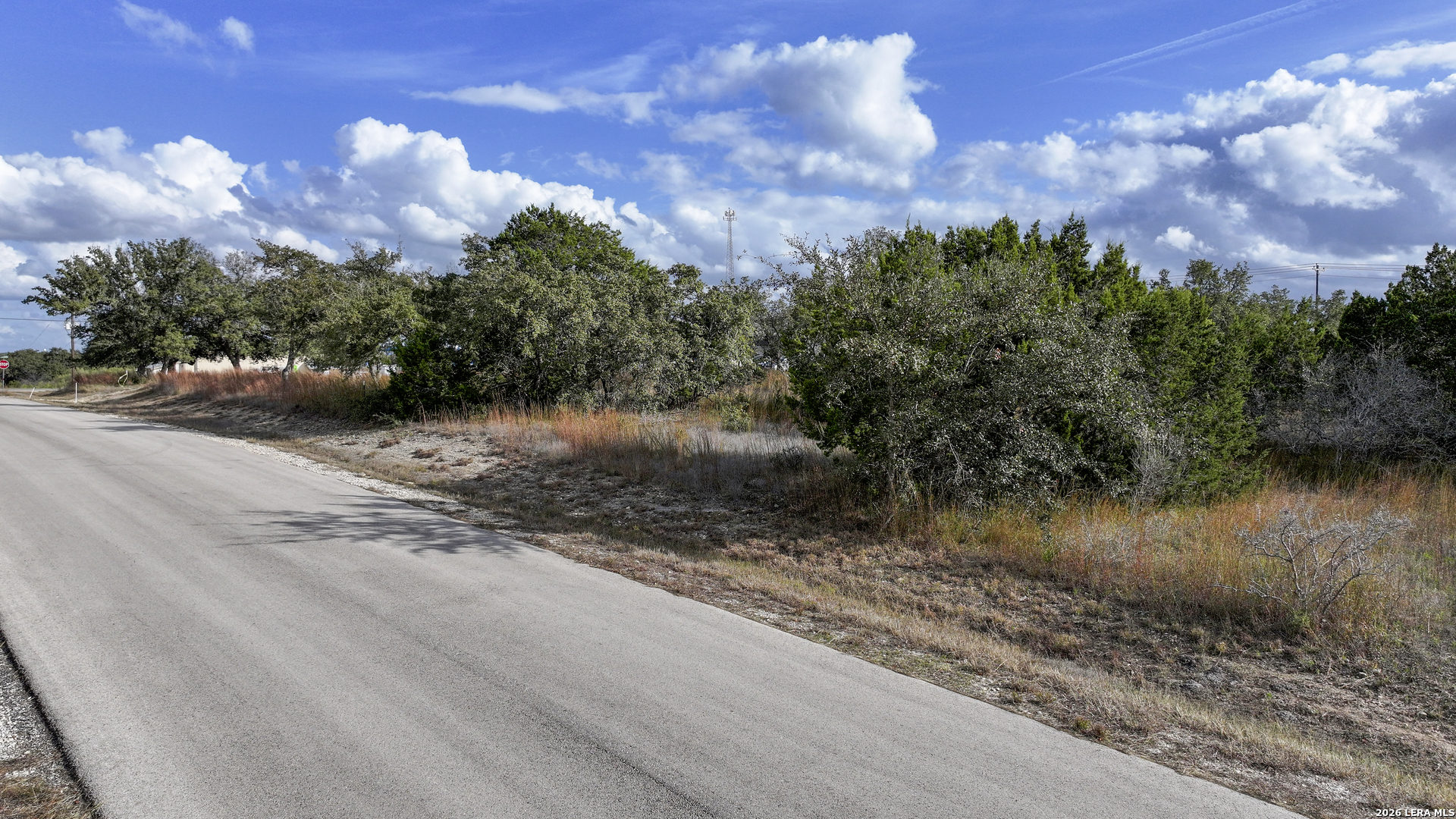 135 Zinnia Spring Branch TX 78070