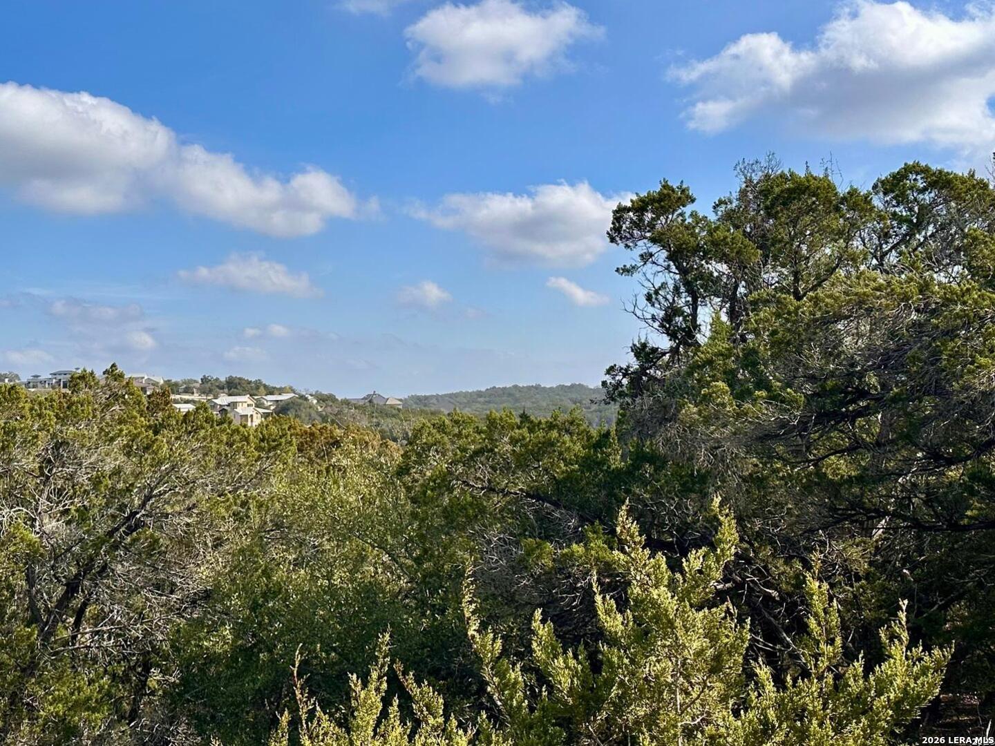0 Tbd Labrusca New Braunfels TX 78132