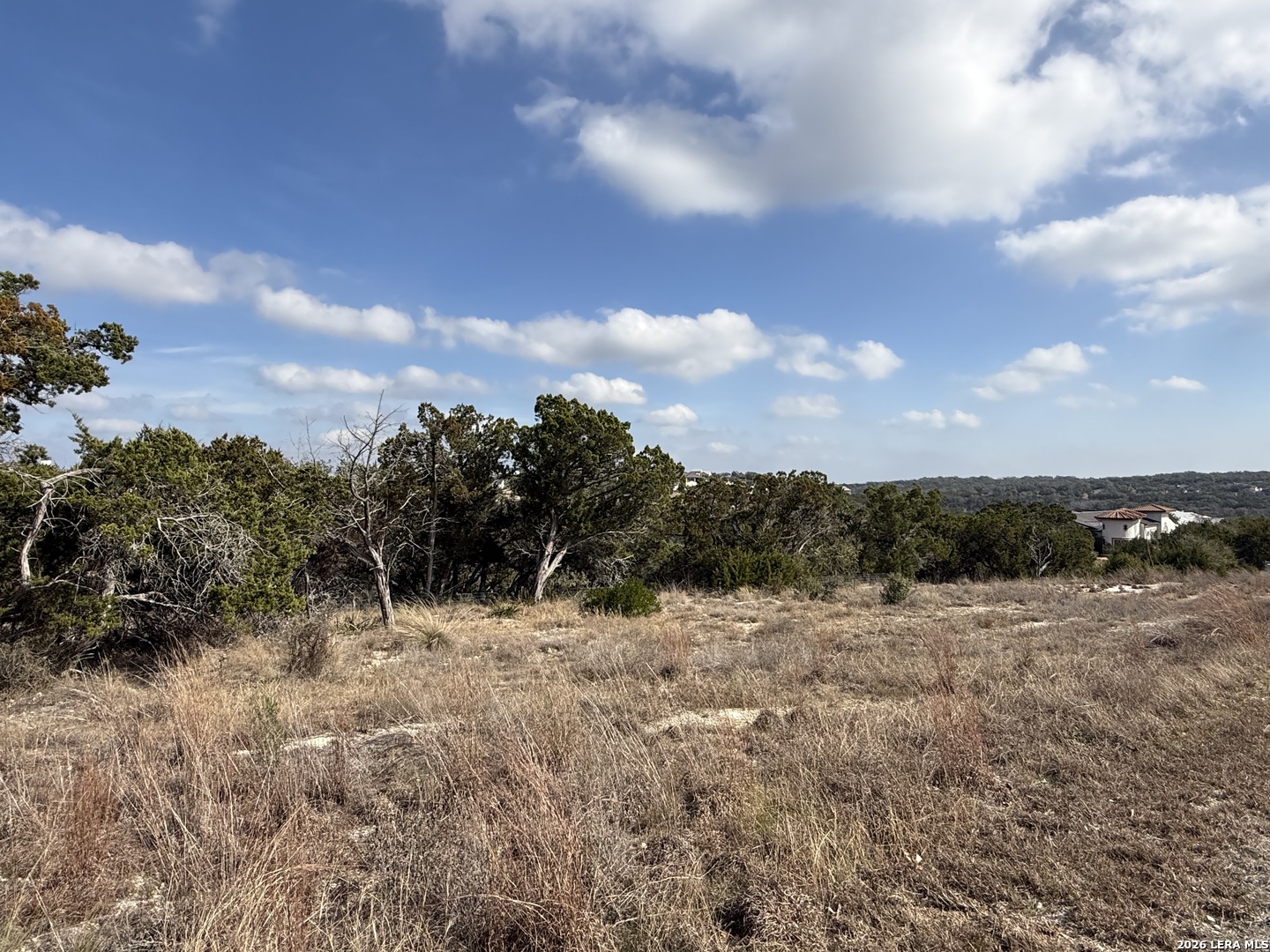 0 Tbd Labrusca New Braunfels TX 78132