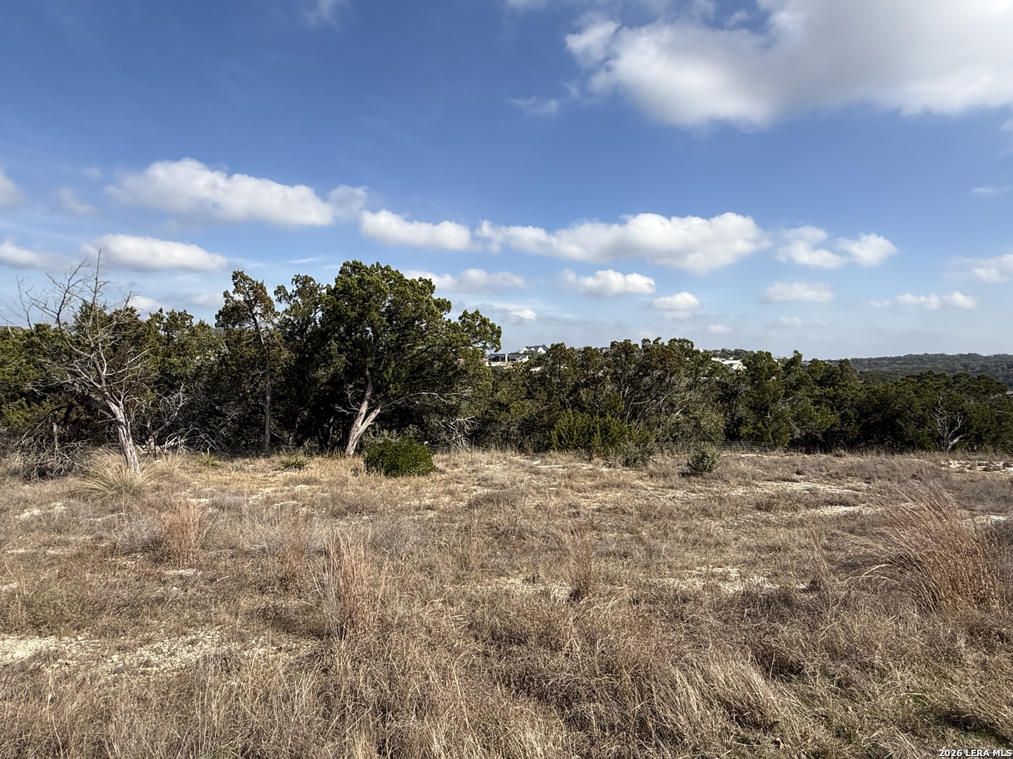 0 Tbd Labrusca New Braunfels TX 78132