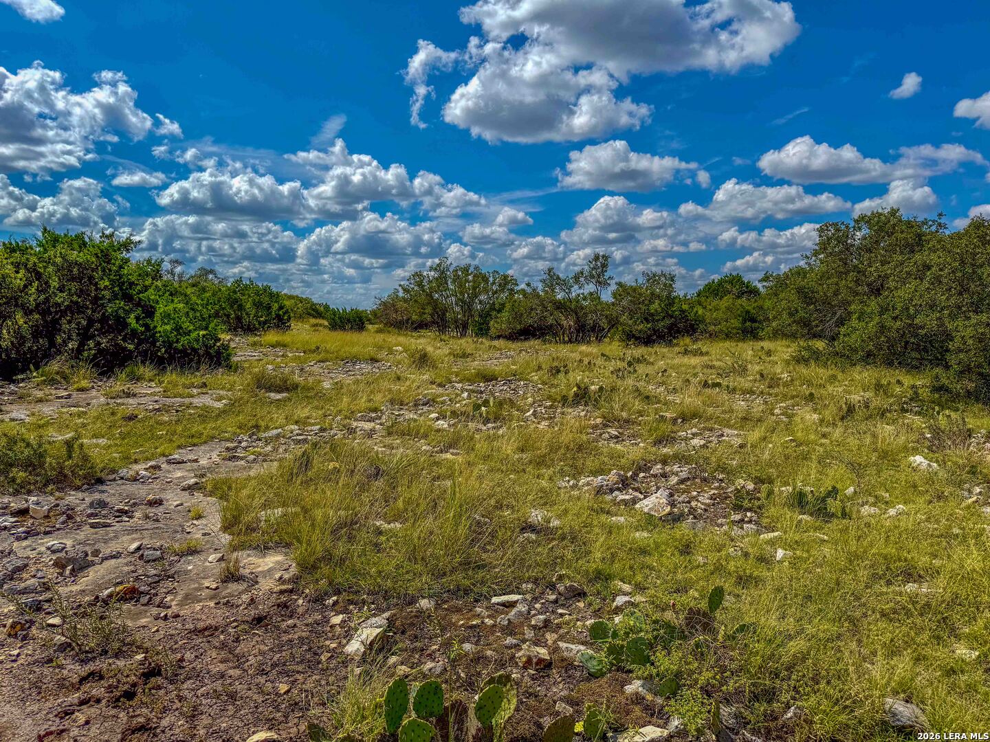 20945 Cactus Road Eldorado TX 76936