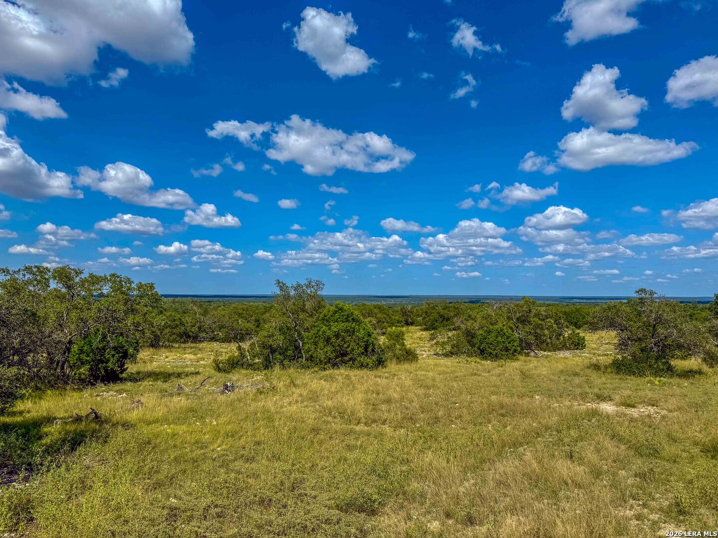 20945 Cactus Road Eldorado TX 76936
