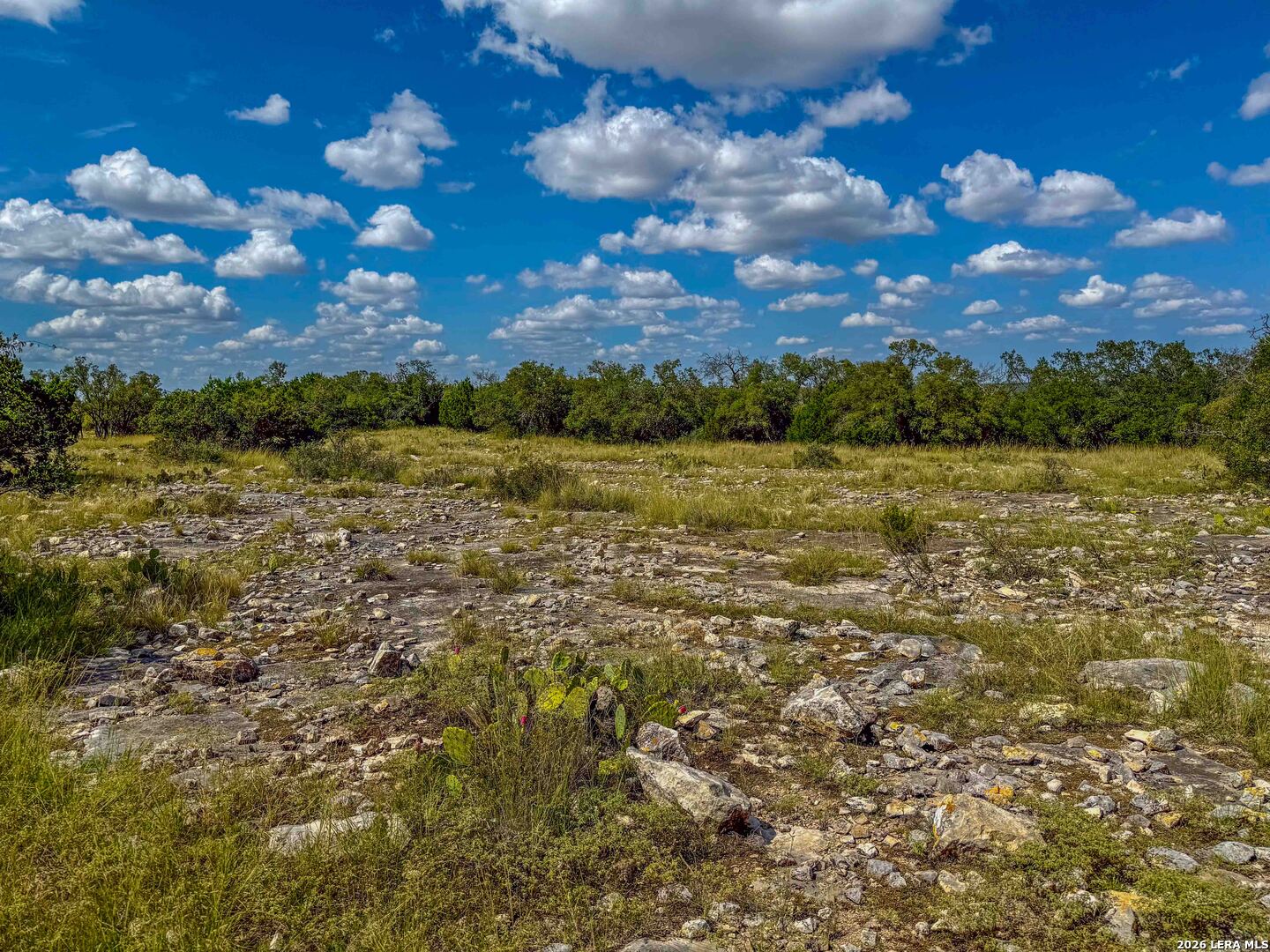 20945 Cactus Road Eldorado TX 76936