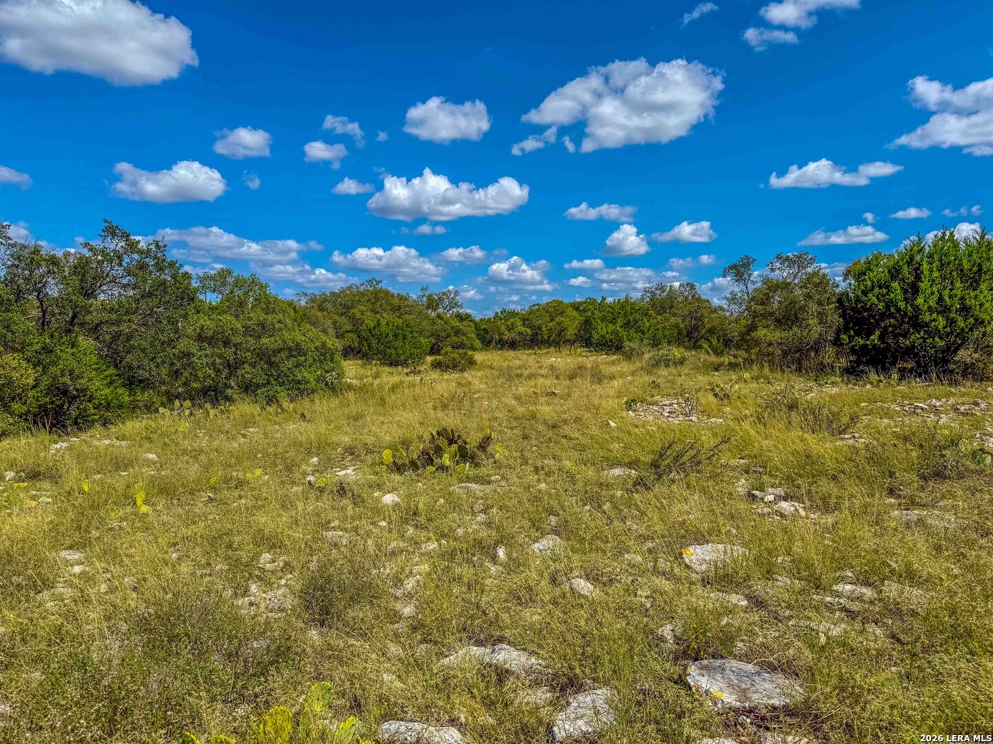 20945 Cactus Road Eldorado TX 76936