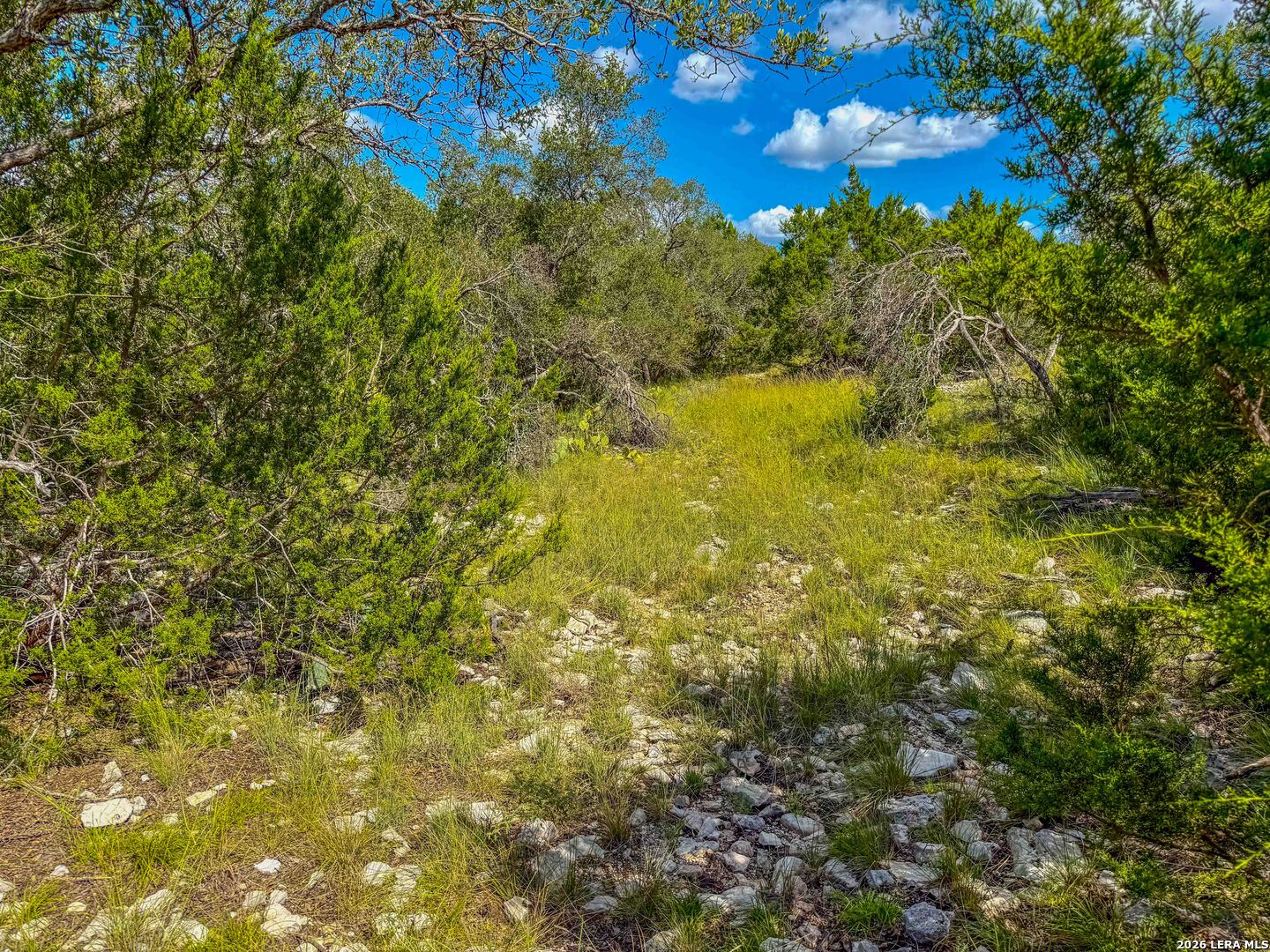 20945 Cactus Road Eldorado TX 76936