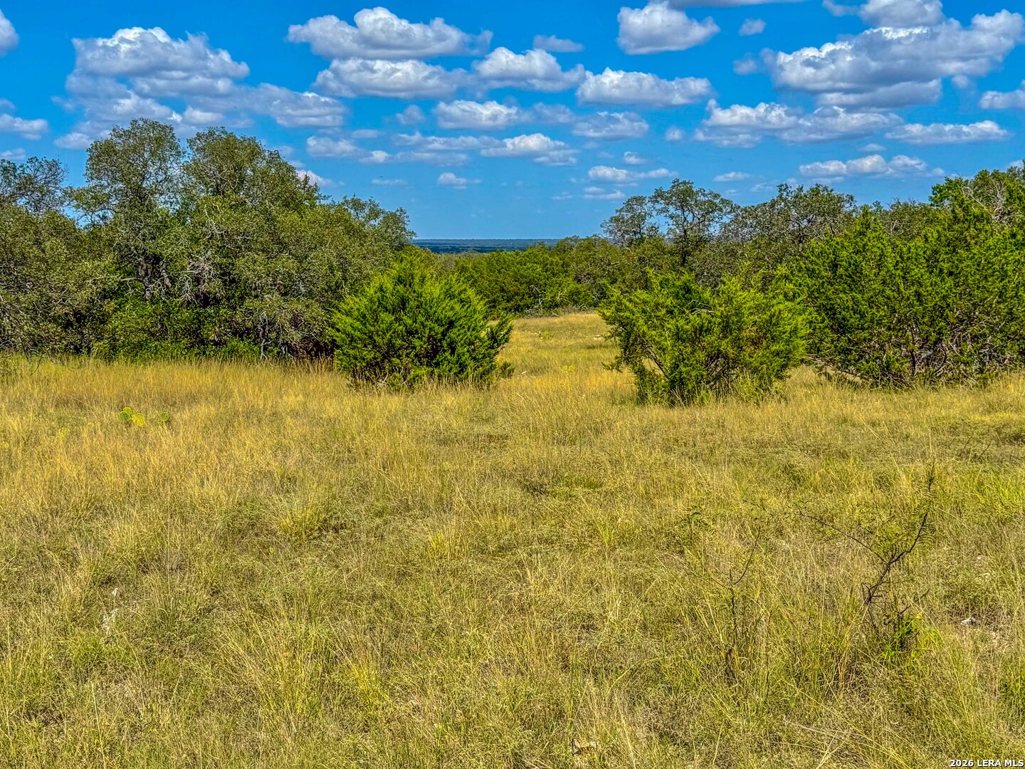 20945 Cactus Road Eldorado TX 76936
