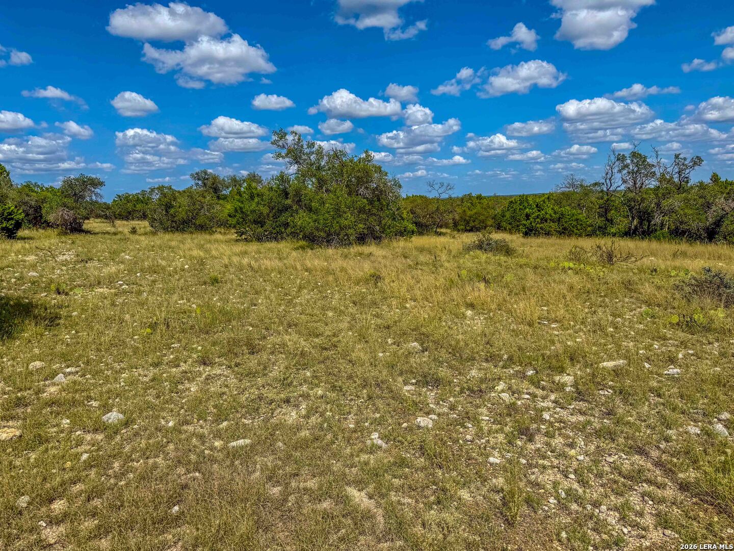 20945 Cactus Road Eldorado TX 76936