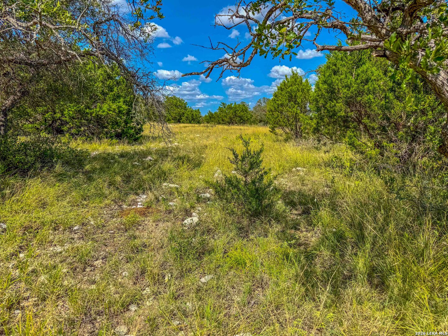 20945 Cactus Road Eldorado TX 76936