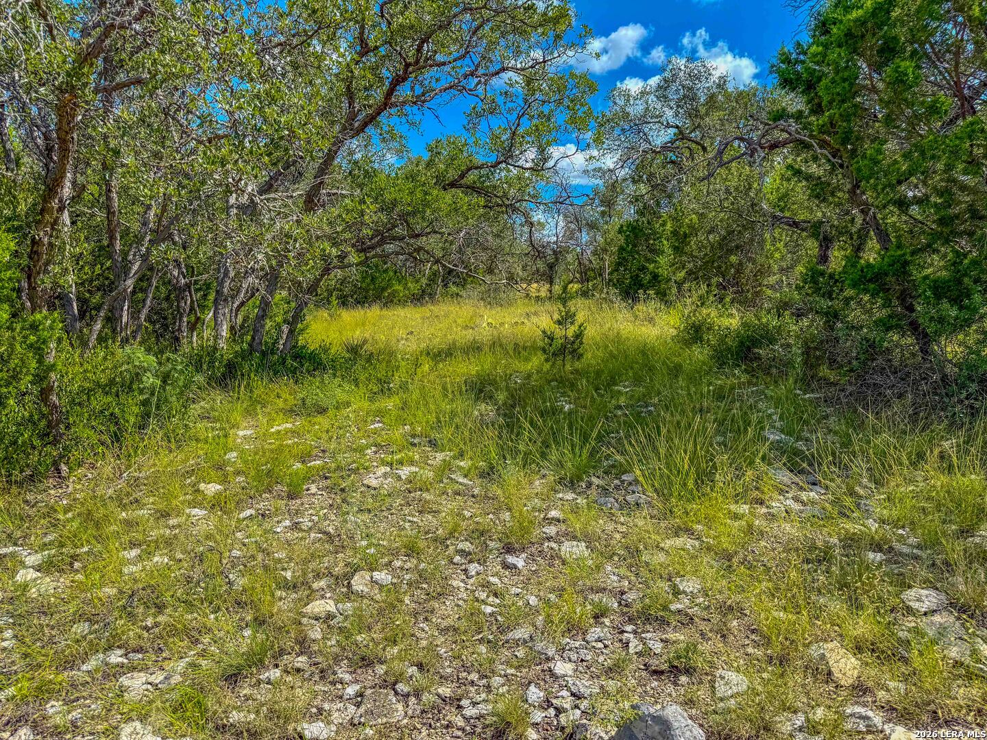 20945 Cactus Road Eldorado TX 76936