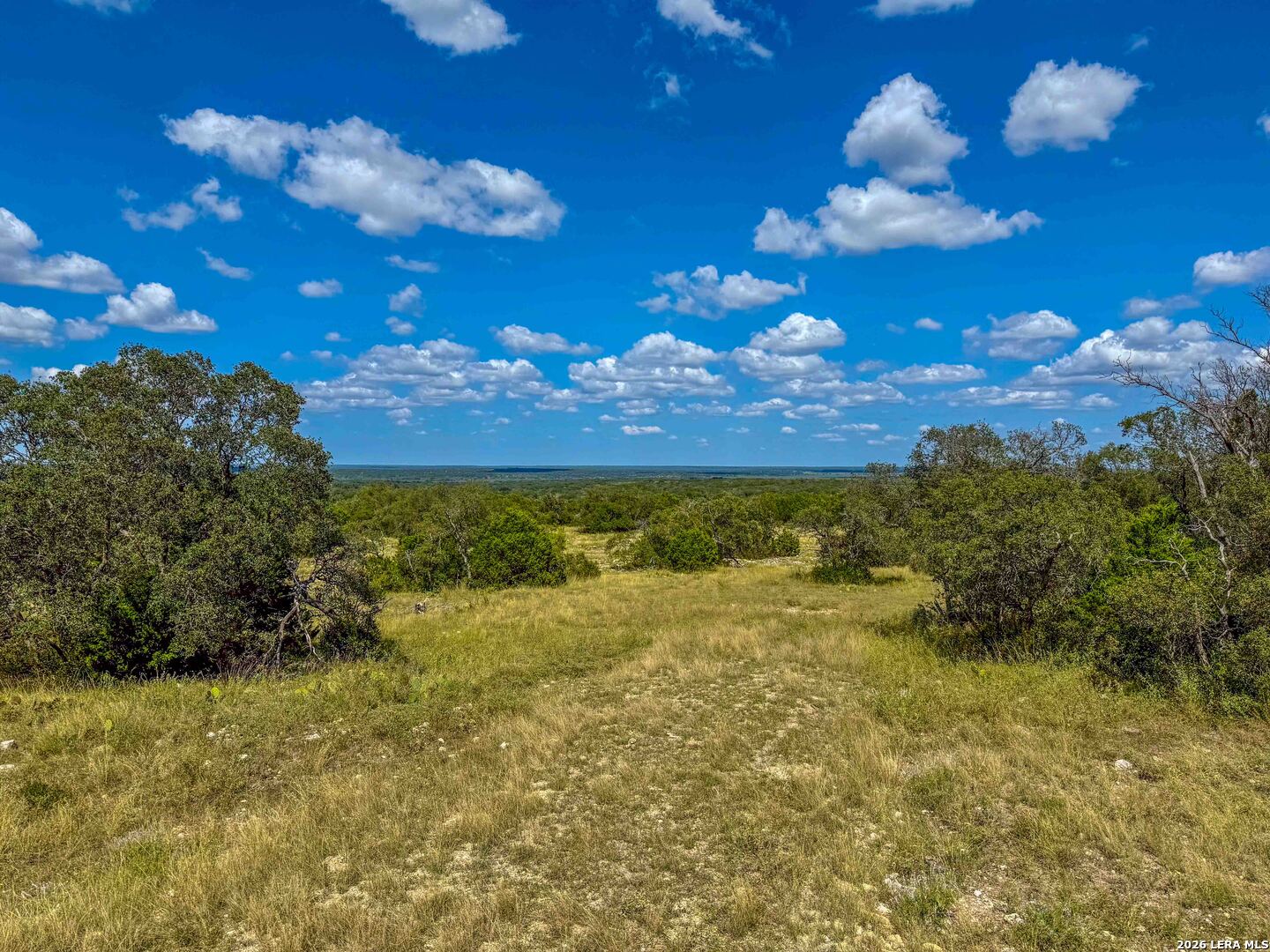 20945 Cactus Road Eldorado TX 76936