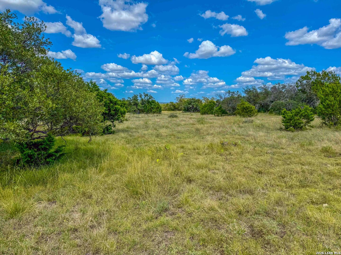 20945 Cactus Road Eldorado TX 76936