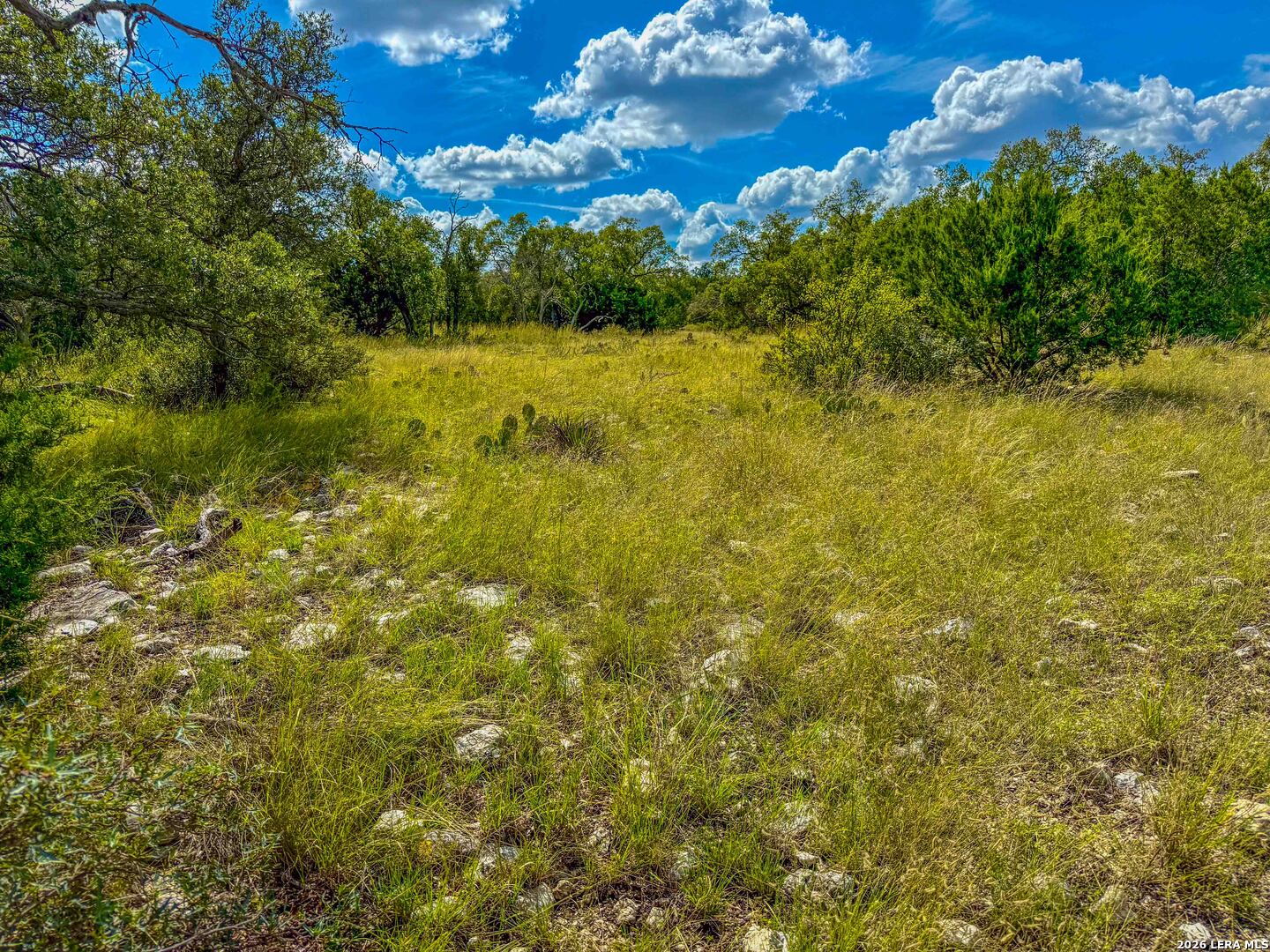 20945 Cactus Road Eldorado TX 76936