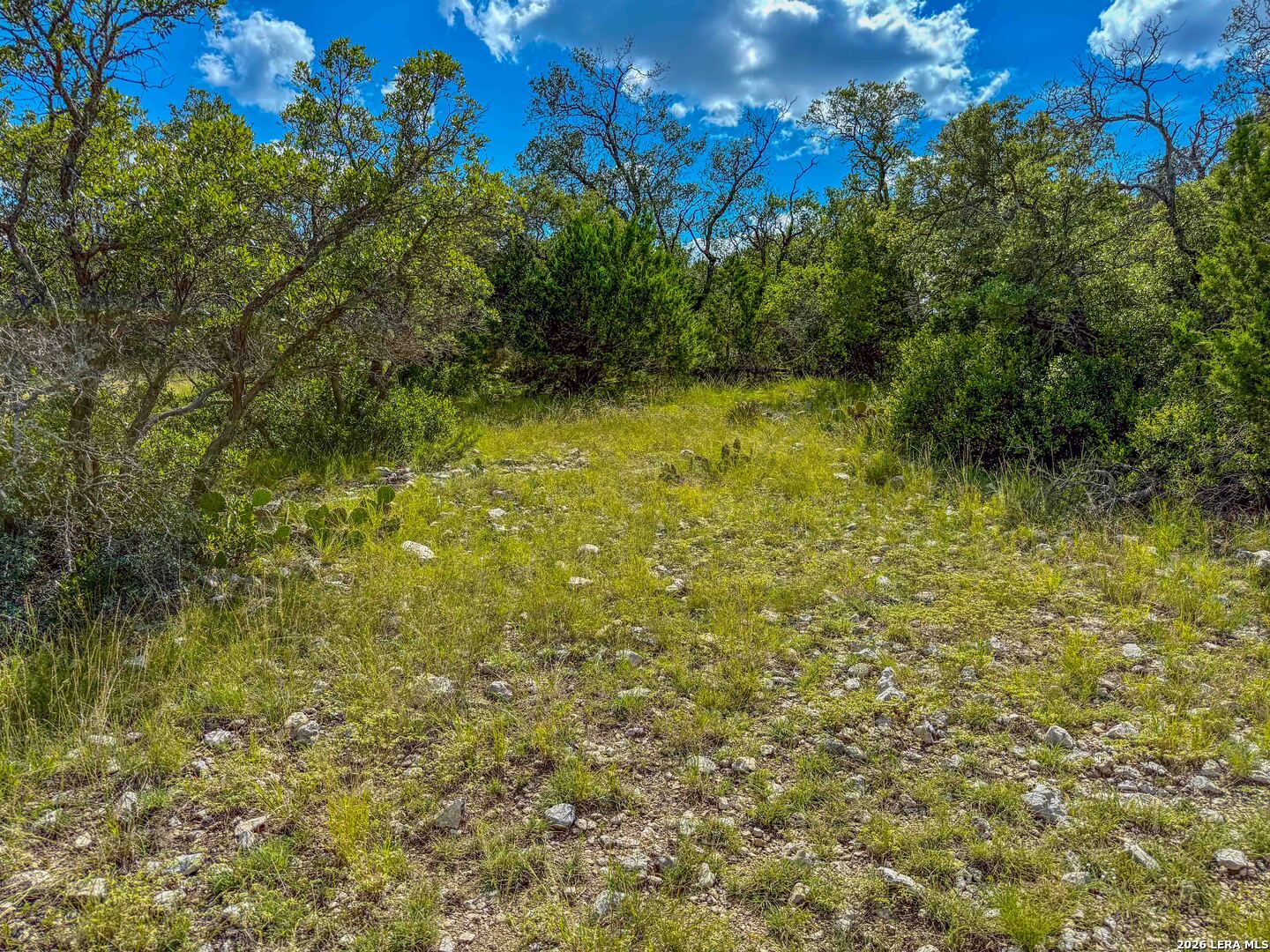 20945 Cactus Road Eldorado TX 76936