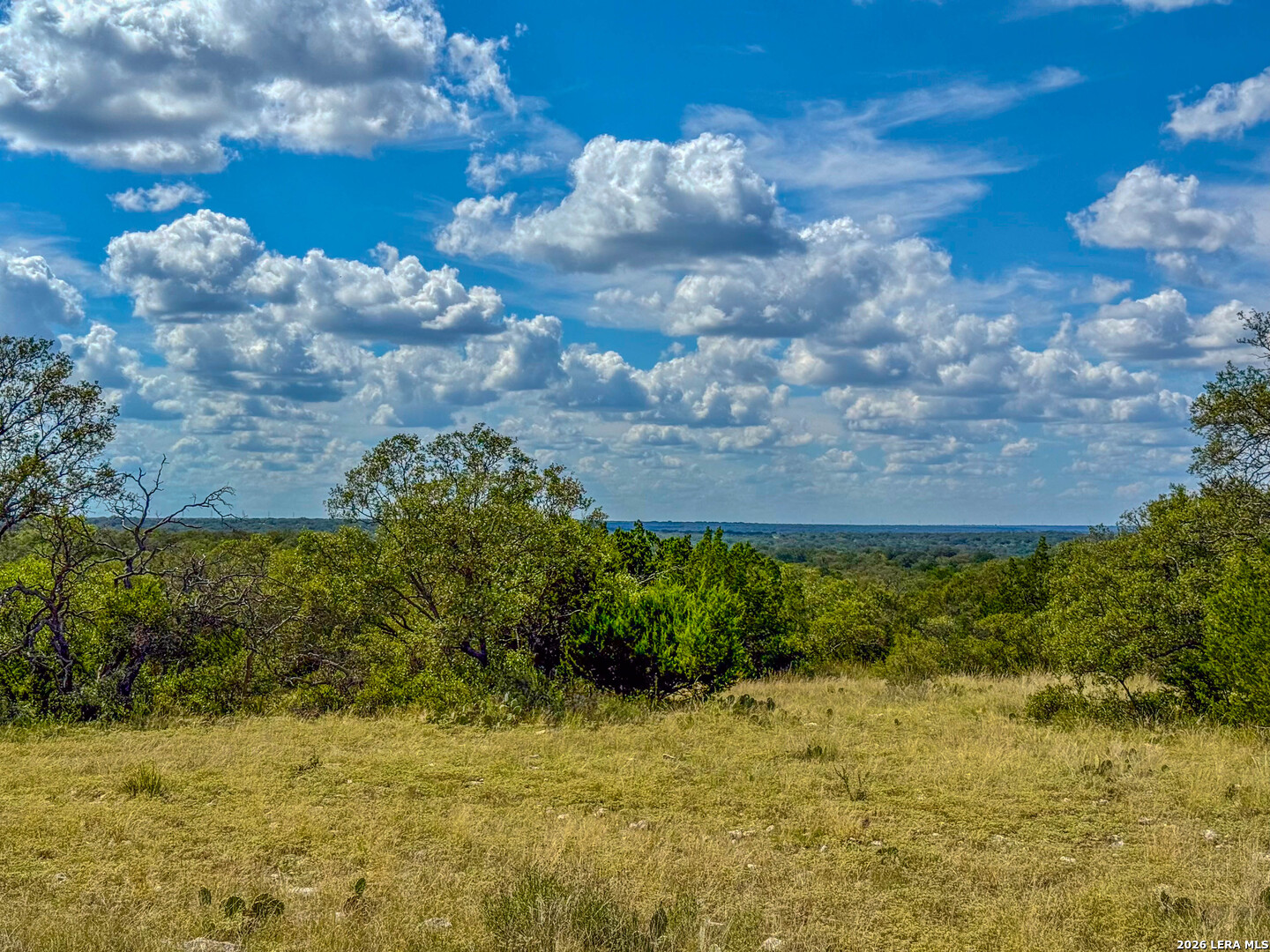 20945 Cactus Road Eldorado TX 76936