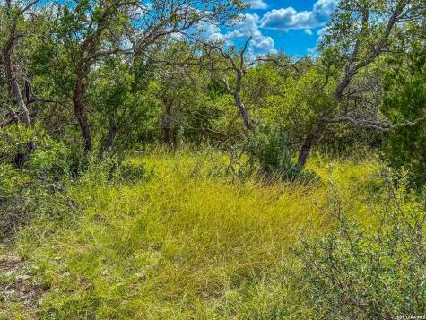 20945 Cactus Road Eldorado TX 76936