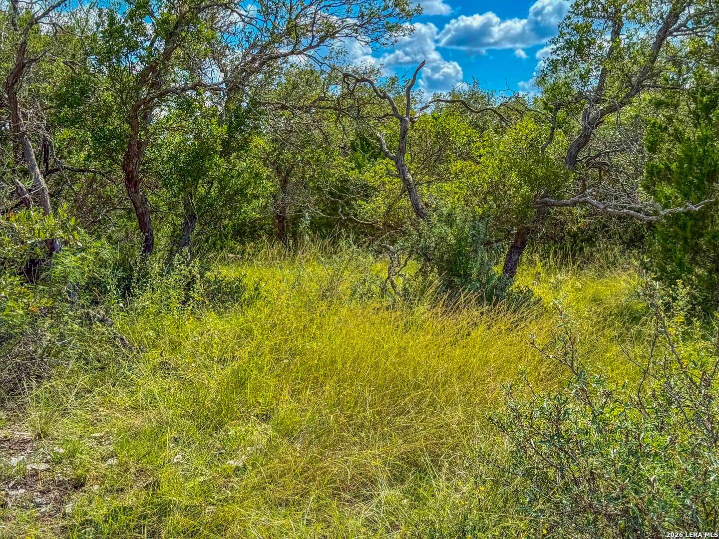 20945 Cactus Road Eldorado TX 76936