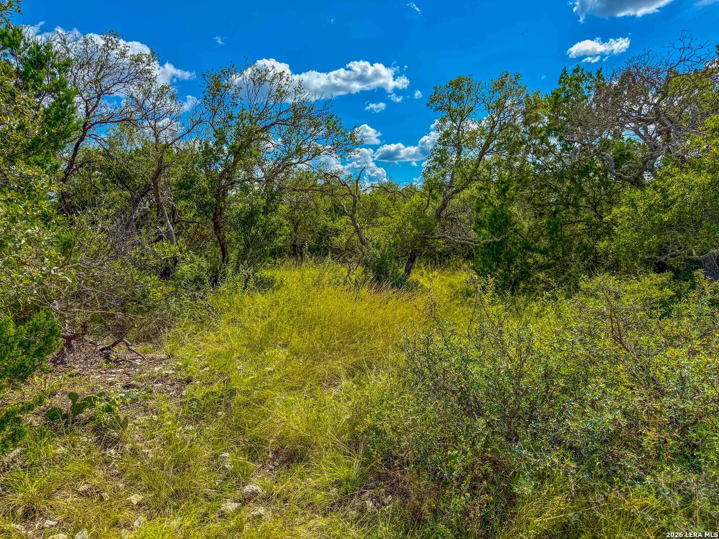 20945 Cactus Road Eldorado TX 76936
