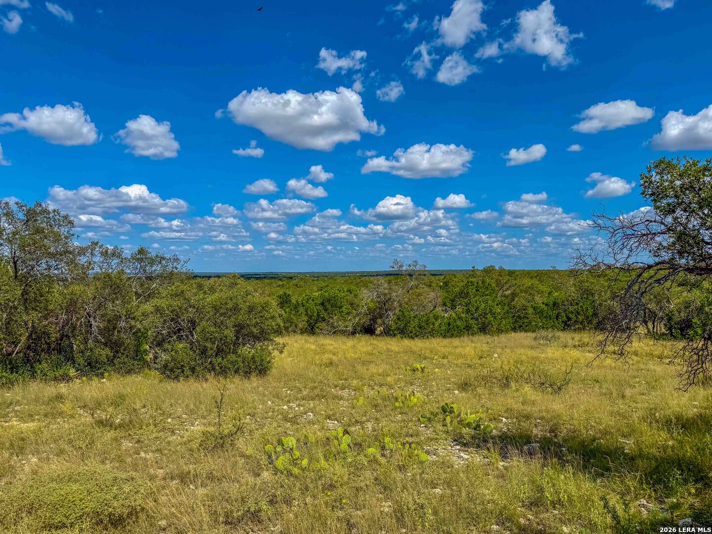 20945 Cactus Road Eldorado TX 76936
