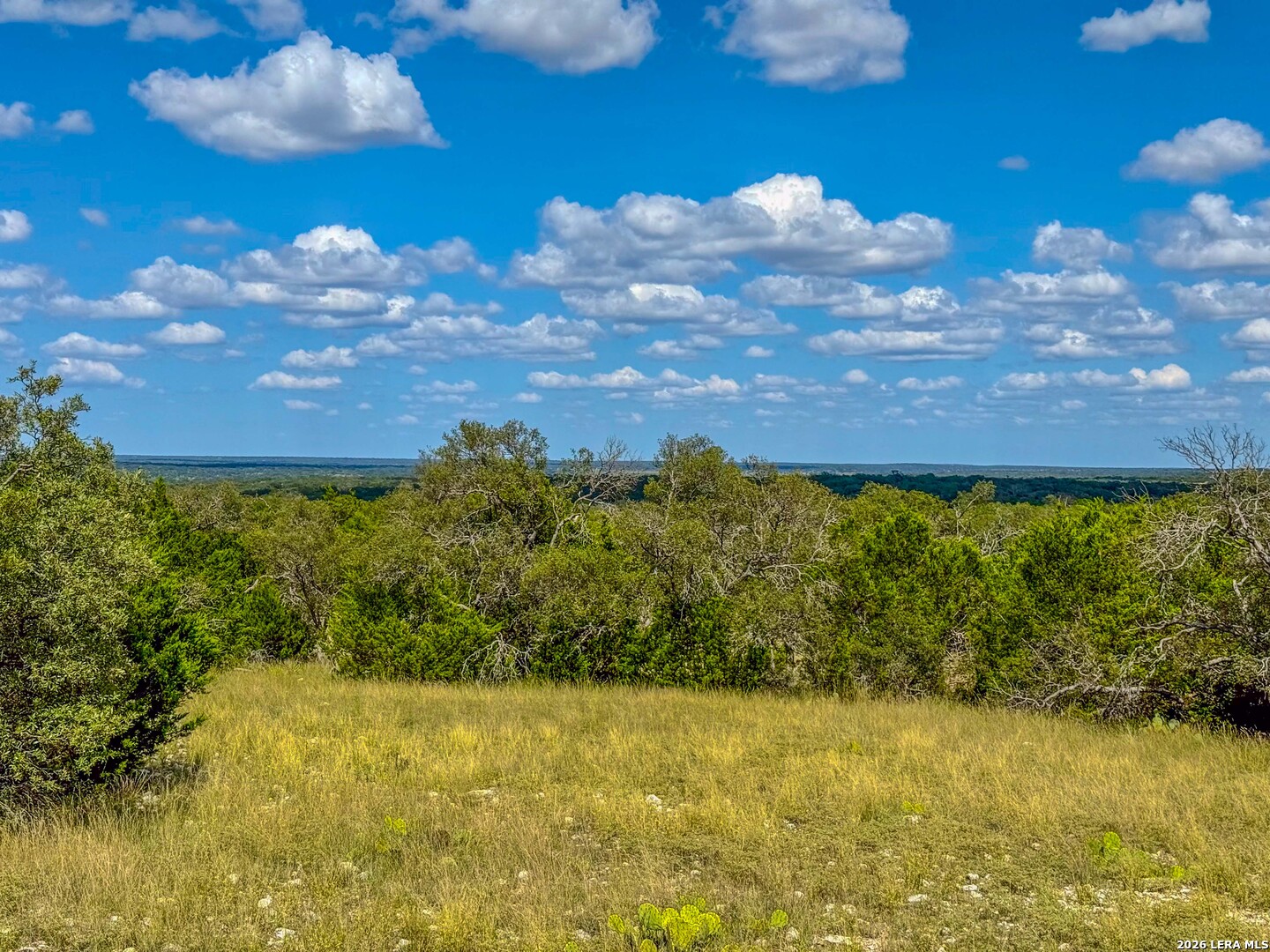 20945 Cactus Road Eldorado TX 76936
