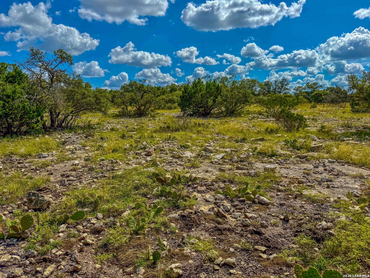 20945 Cactus Road Eldorado TX 76936