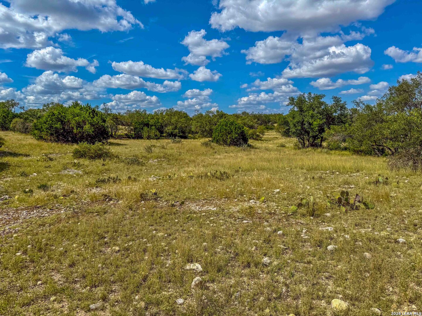 20945 Cactus Road Eldorado TX 76936