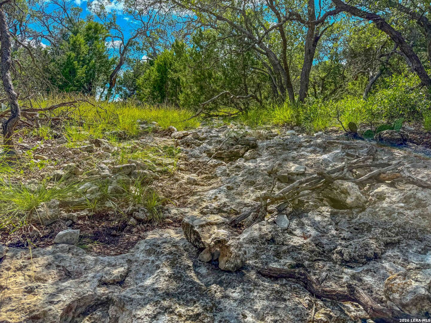20945 Cactus Road Eldorado TX 76936