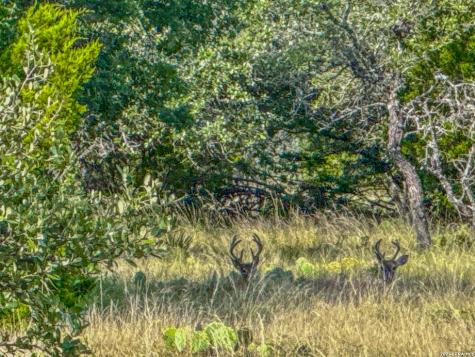 20945 Cactus Road Eldorado TX 76936
