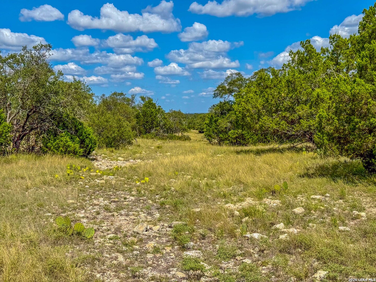 20945 Cactus Road Eldorado TX 76936