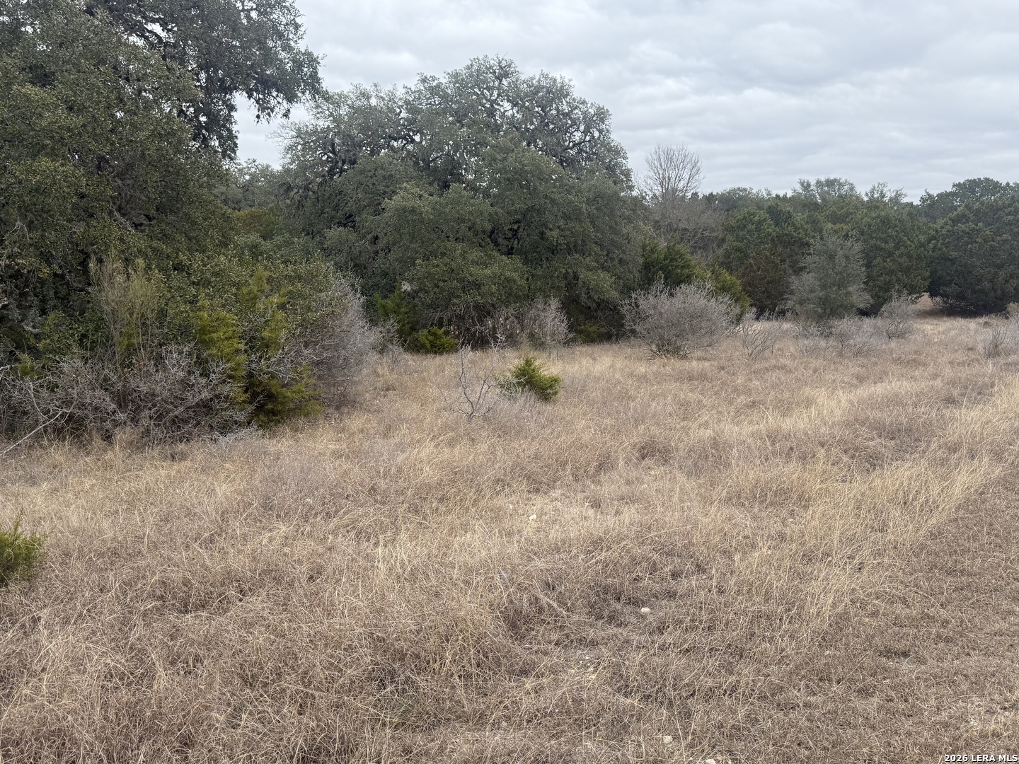145 Horseshoe Falls Bandera TX 78003