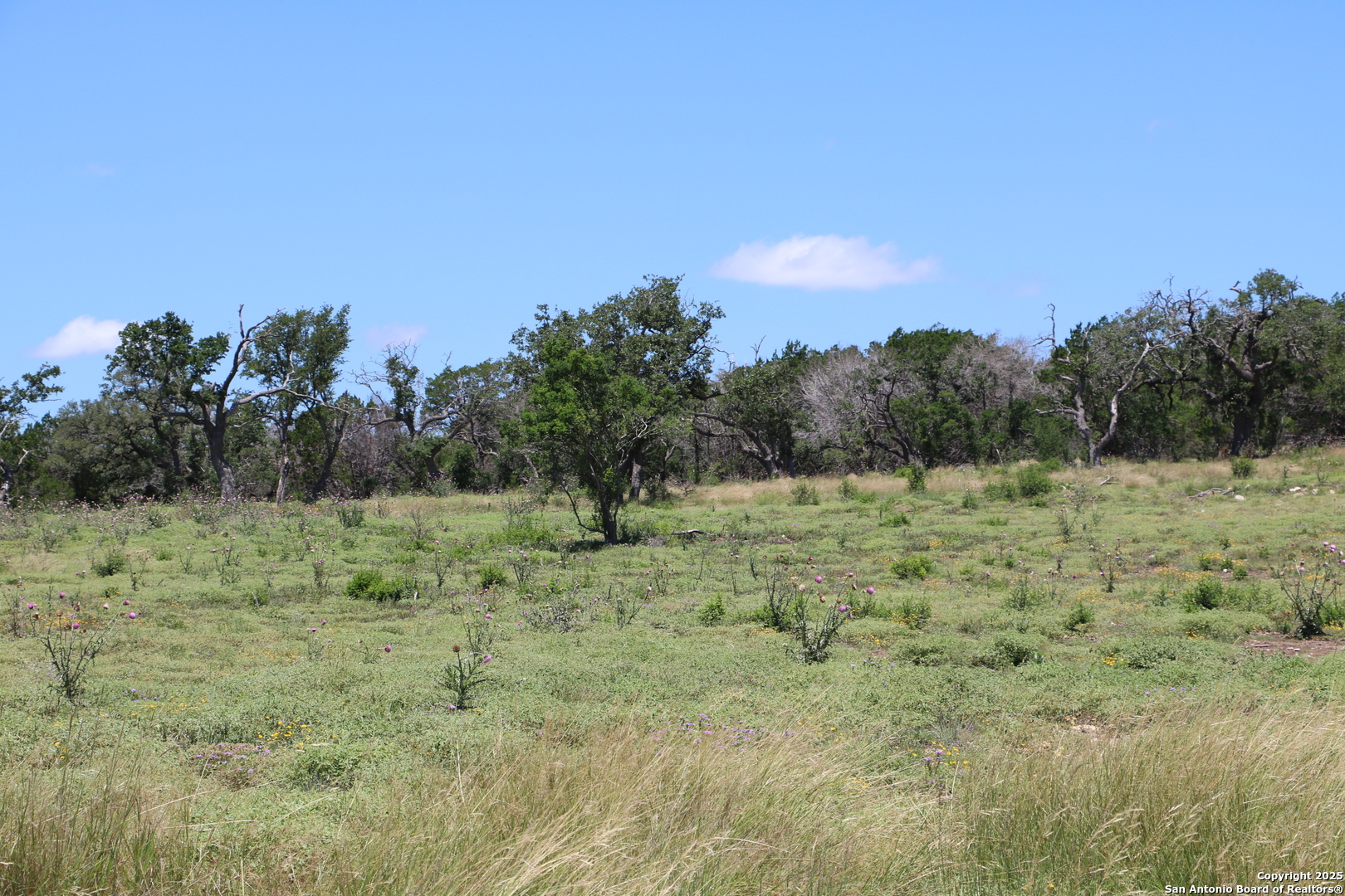 25 Seep Springs Camp Verde TX 78010