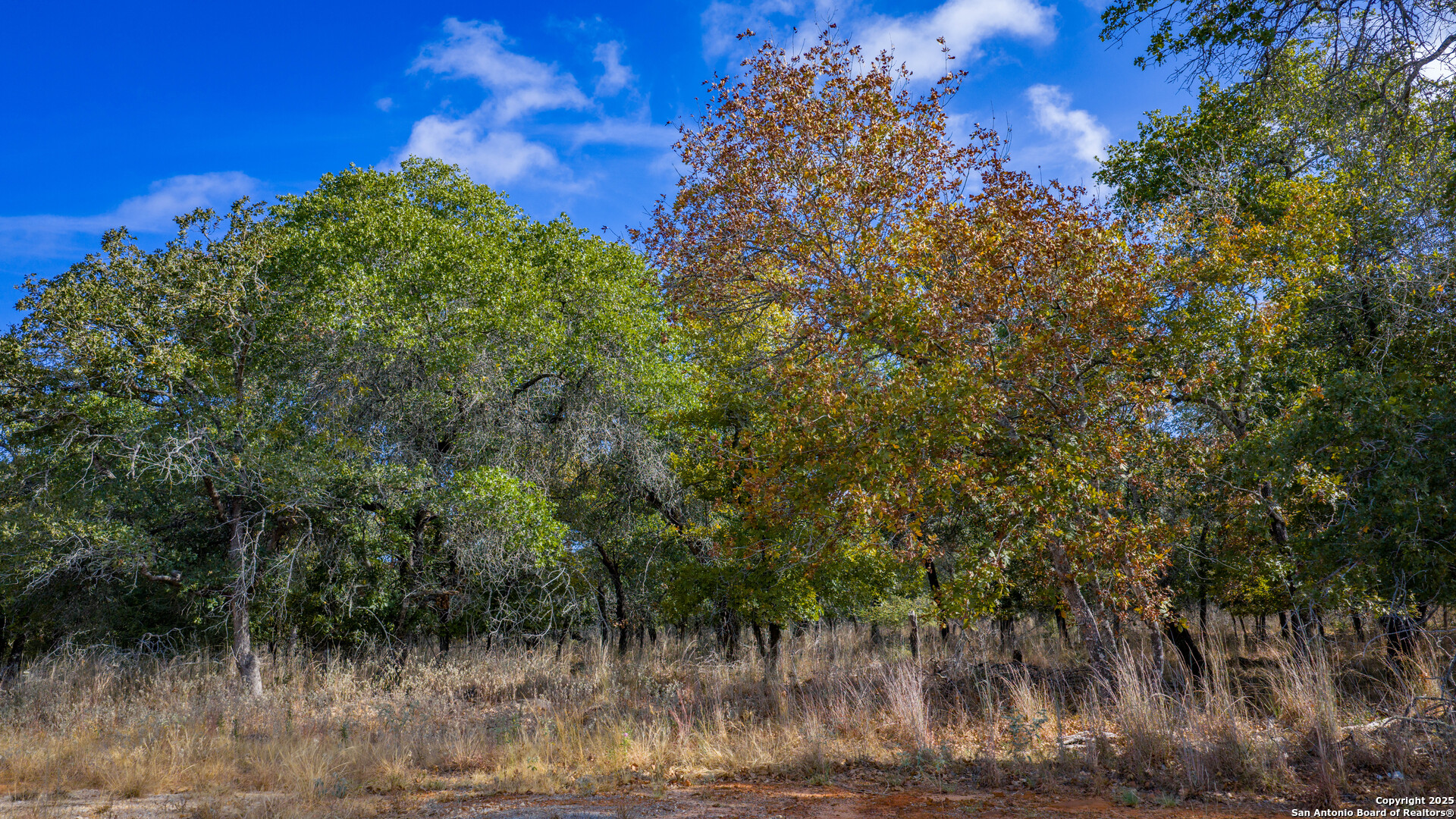 14 Sandstone Lane Seguin TX 78155