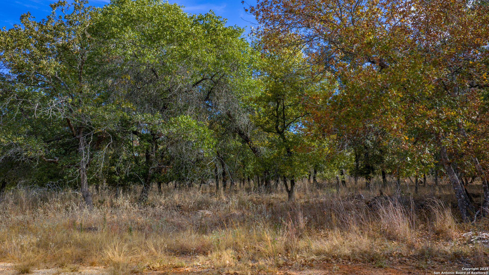 14 Sandstone Lane Seguin TX 78155