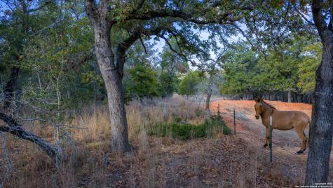 14 Sandstone Lane Seguin TX 78155