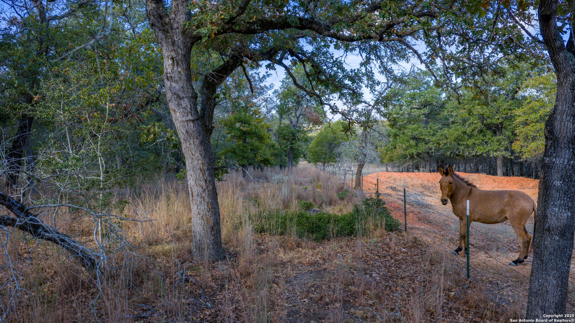 14 Sandstone Lane Seguin TX 78155