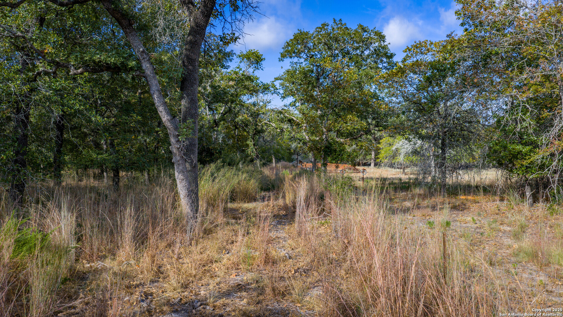 14 Sandstone Lane Seguin TX 78155